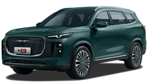 Двухслойные коврики EVA для TENET T8 (2025->)