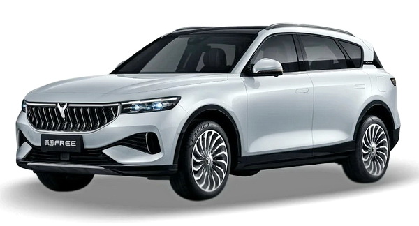 Автомобильные коврики EVA 3D для Voyah Free (2021->)